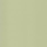 Light Green 26007
