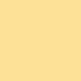 Egg Yolk 26024