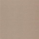 Champagne Gold 47839