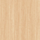 Encore Sycamore 50120