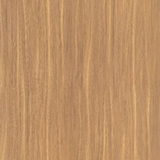 Camel Elm 58795