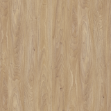 Soft Maple 60179