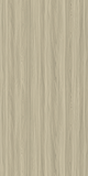 Grey Elm 78201