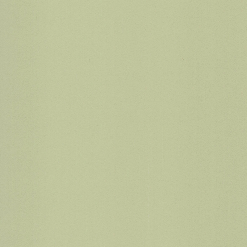 Light Green 26007