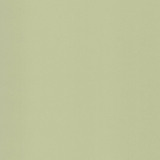 Light Green 26007
