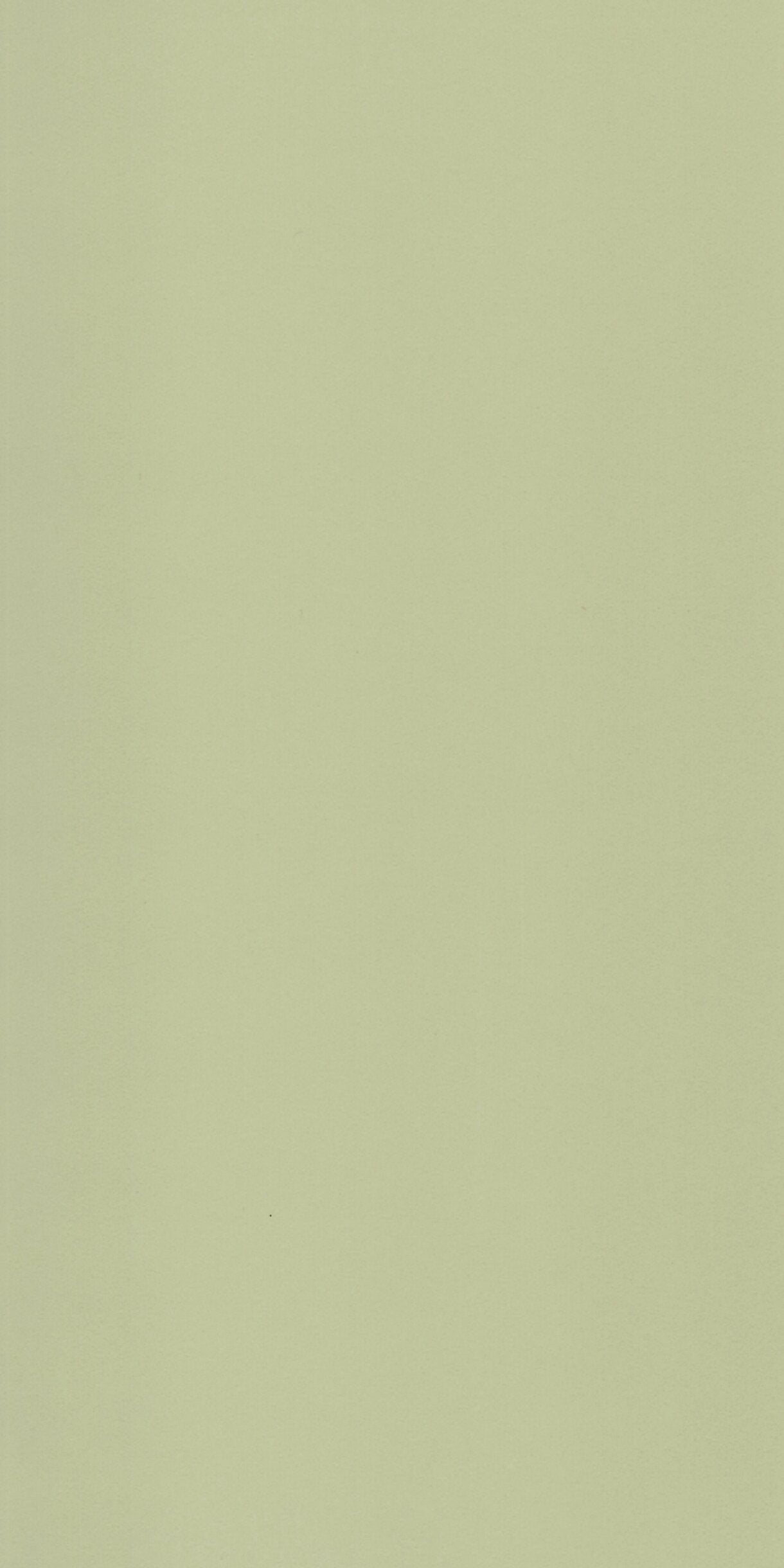 Light Green 26007