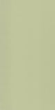 Light Green 26007