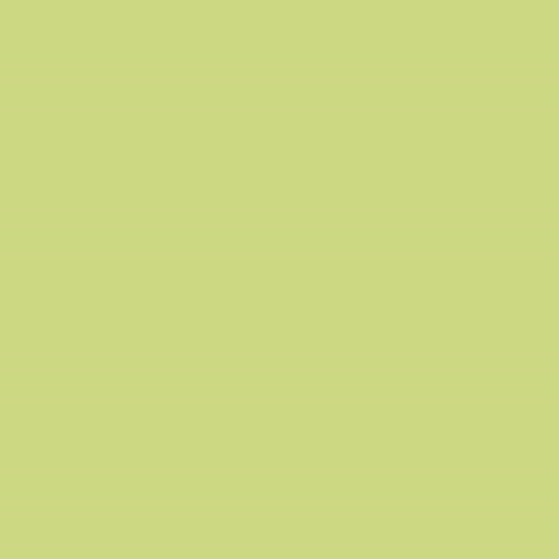 Light Grass 26177