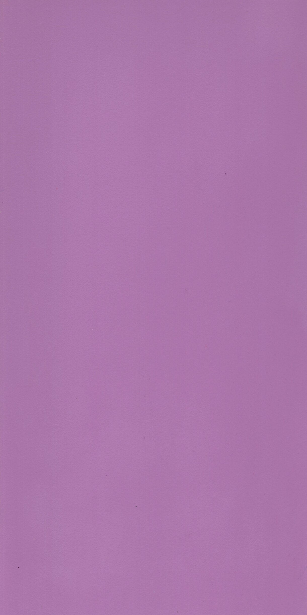 Orchid Purple 26346