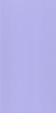 Purple Butterfly 26505