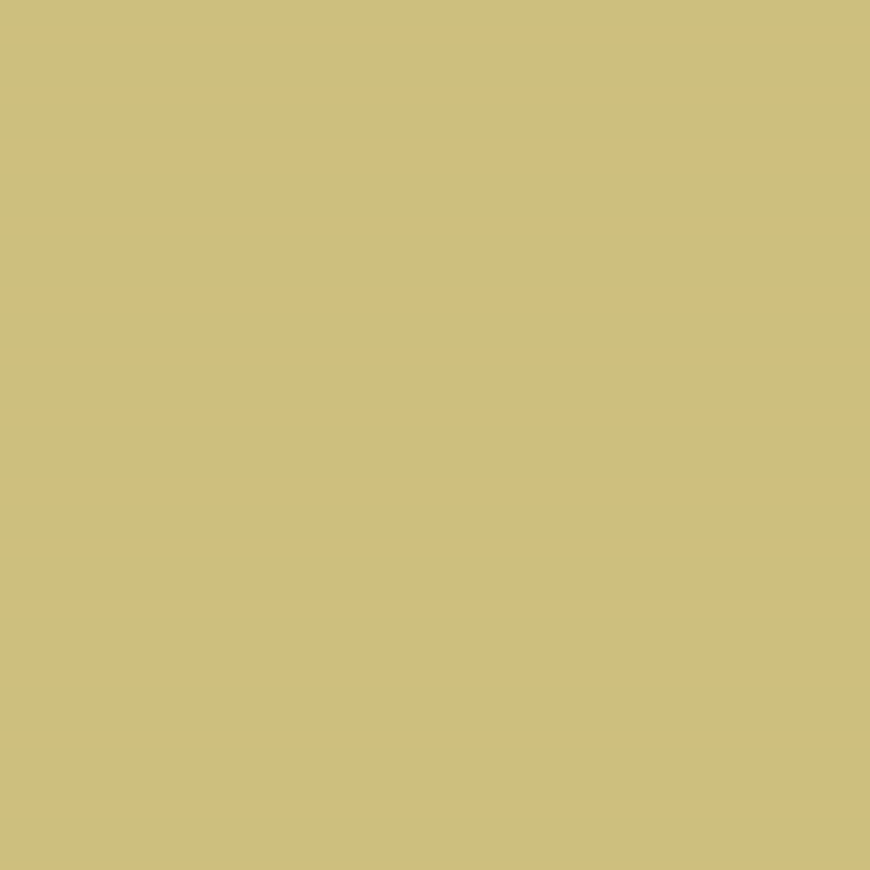 Globe Artichoke 26800