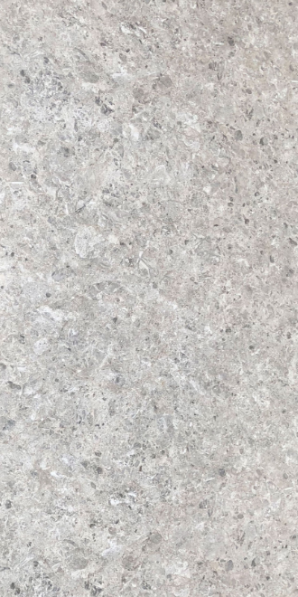 Silver 39307