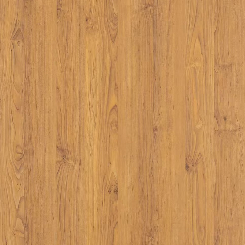 Alder 58729