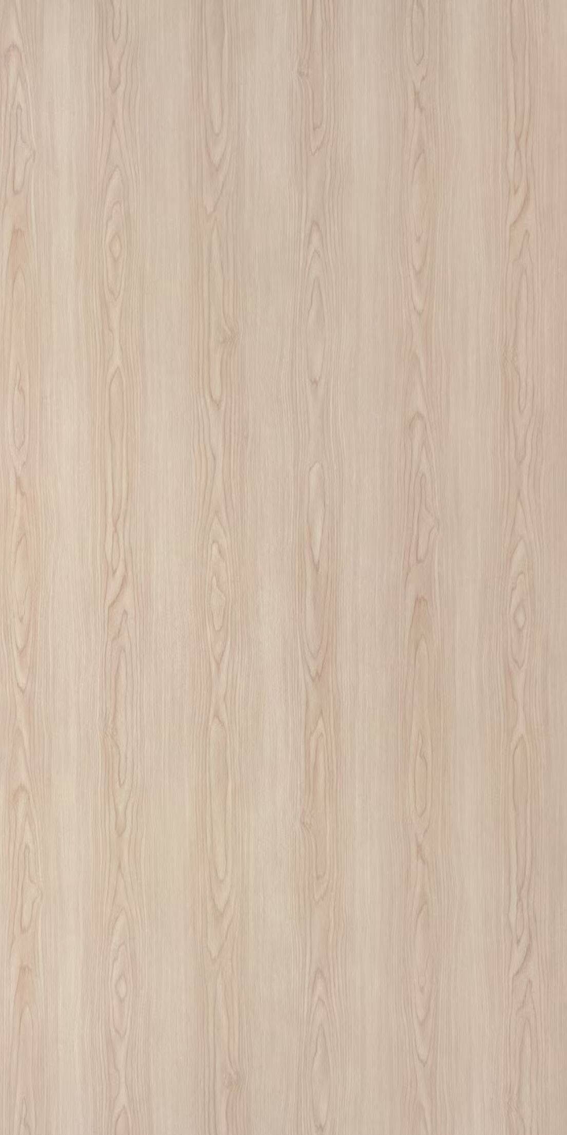 Natural Maple 58756