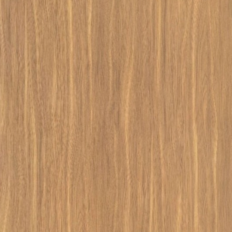 Camel Elm 58795