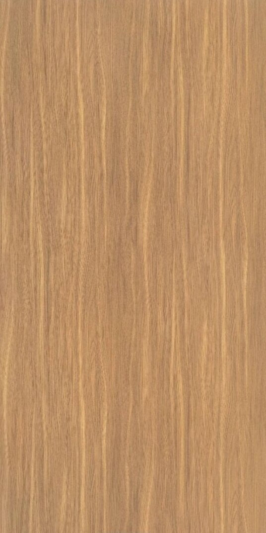 Camel Elm 58795