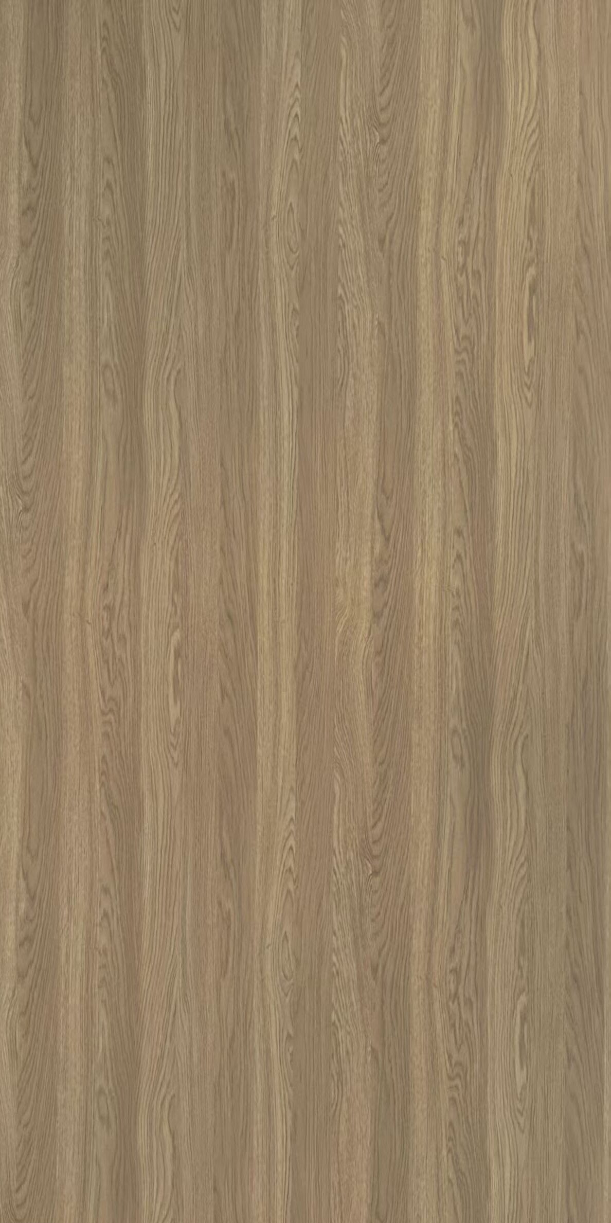 Millennium Oak 58887