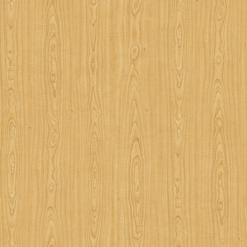Maple 70075