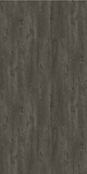 Carter Oak 78004